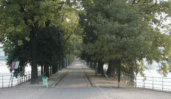 allee.jpg (14660 bytes)