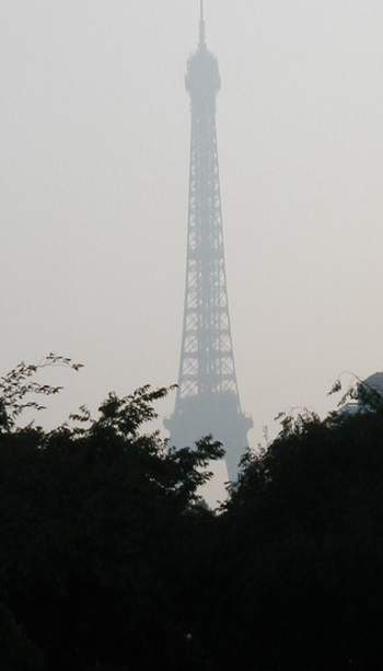 pollution.jpg (11146 bytes)