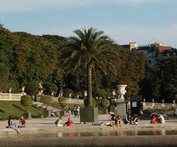 Palm tree and bassin at Luxembourg Gardens