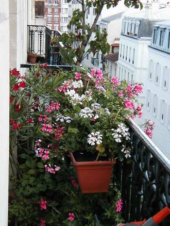 balcon1.jpg (65644 bytes)