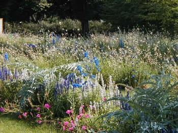 Flowers at Parc de Bercy